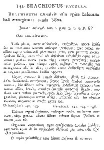 Müller, O F (1773): Vermium terrestrium et fluviatilium, seu animalium infusoriorum, helminthicorum et testaceorum, non marinorum, succincta historia. Infusoria.  p.130